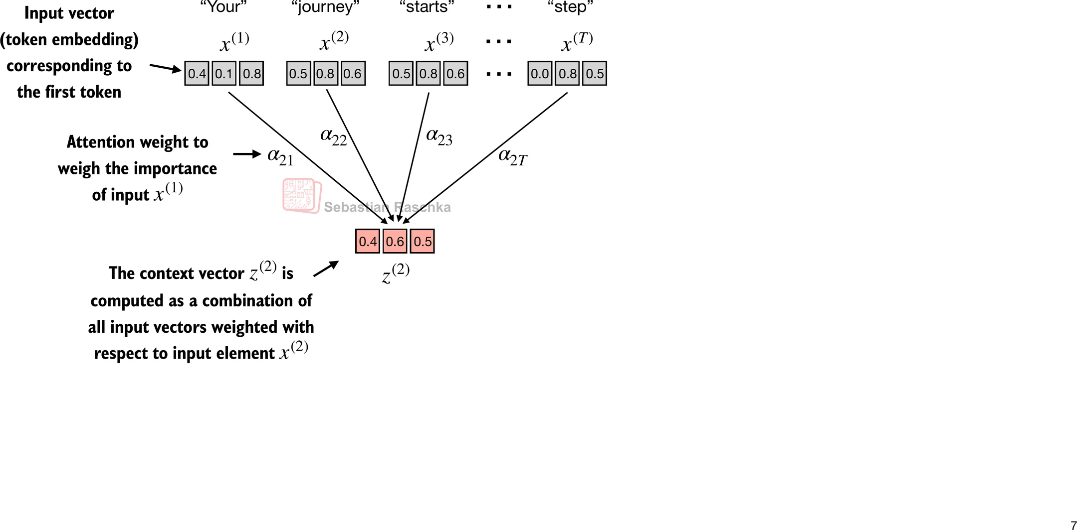 Embedding Setup