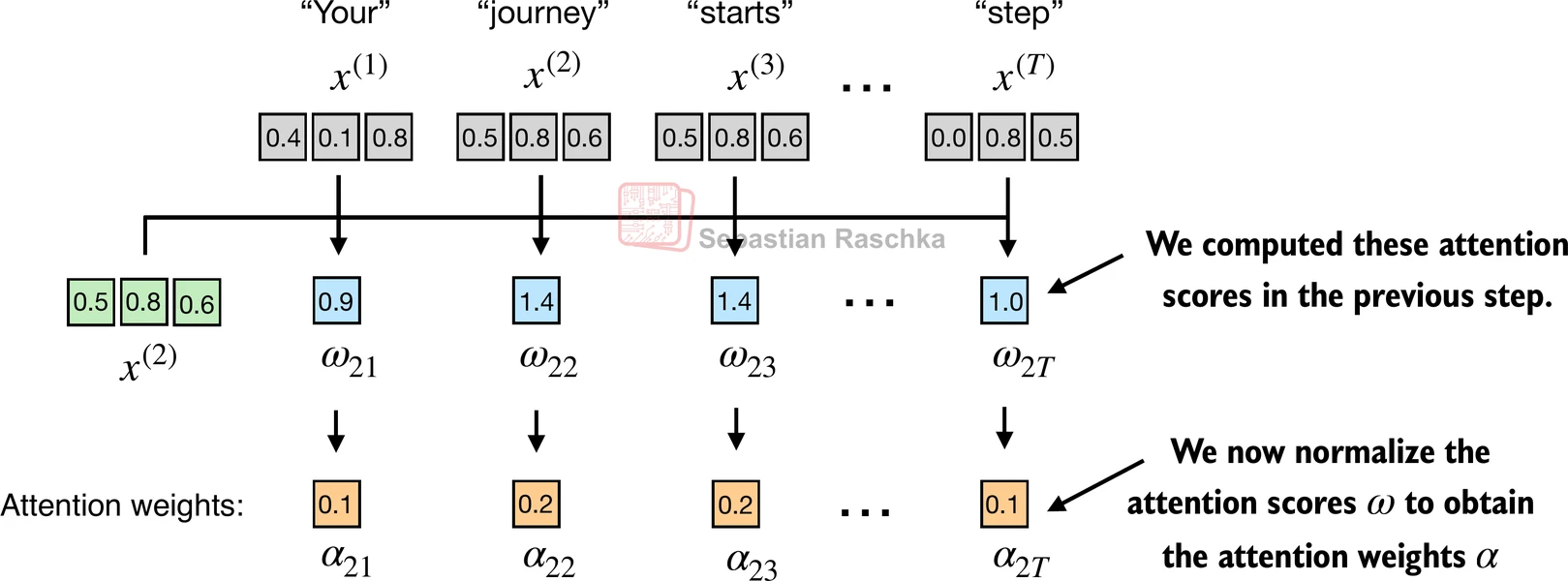Normalizing Attention Scores